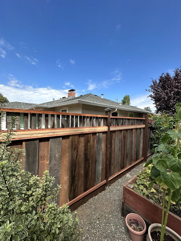 Redwood fence with new rails, trim and an open picket topper